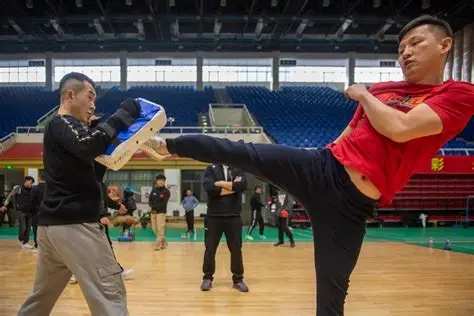 关于开展 2018 年度第一期武术散打教练员等级认证培训班的通知